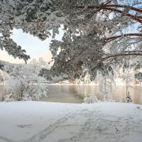 Зима :: Анатолий Соляненко