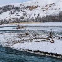 Река Кубань :: Игорь Сикорский