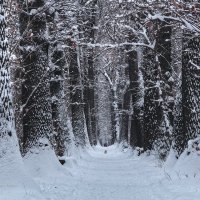 Зима :: Сергей Мурзин