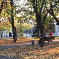 Осень в парке. :: Вячеслав Медведев