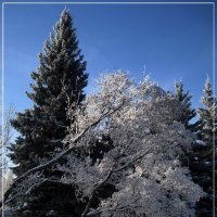 Зима в Ижевске :: muh5257 