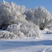 зимушка :: павел бритшев 