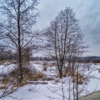 Зима в Дрезне :: Андрей Дворников