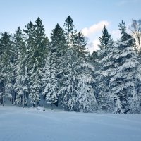 Зима в Швеции :: wea *