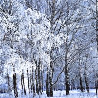 Зима :: Валерий Баранчиков