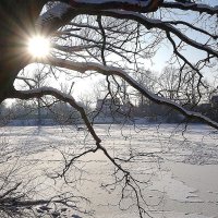 Зима в городе :: Маргарита Батырева