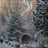 ВЛАДИМИР ПРОВИНЦИАЛЬНЫЙ :: Валерий Викторович РОГАНОВ-АРЫССКИЙ