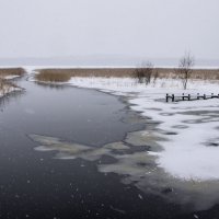 Карелия. Ладога. :: Наталия Владимирова