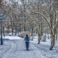 Москва. Коломенское. Январь. :: Игорь Герман