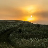 Утренний туман :: Алексей Крохин