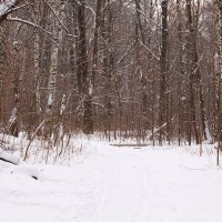 Уголки зимнего парка :: Татьяна Ломтева