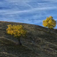 В первых утренних лучах... :: Александр К.