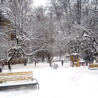 Снежным днем :: Елена Семигина