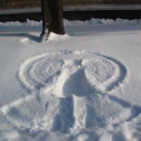 Cнежный ангел :: super-krokus.tur ( Наталья )