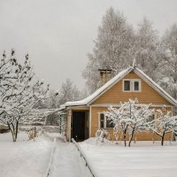 Зимняя сказка :: Владимир Орлов