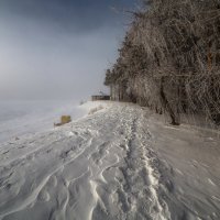 ***** :: Дамир Белоколенко