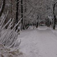 Фантазия на тему зимы. :: Олег Пучков