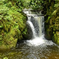 Лесной водопад :: Николай Танаев