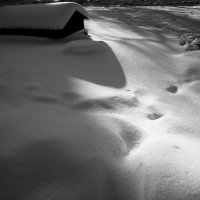Белые снеги :: Tanja Gerster