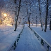 А у нас во дворе.... :: Владимир Прокофьев