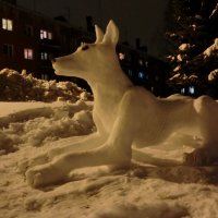 Снежный пёс... :: Владимир Павлов