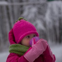 Зимняя прогулка :: Аnastasiya levandovskaya