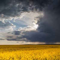 Люблю грозу в начале мая... :: Айвар Удрис