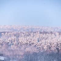 После снегопада. :: Владимир Безбородов