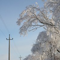 *** :: Вадим Бурмистров