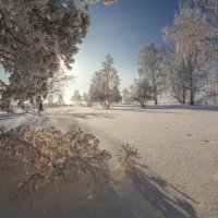 Тени на снегу :: Дамир Белоколенко