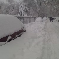 После снегопада :: Галина 
