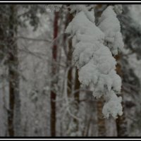 Зима пришла негаданно. :: Aleksandr Ivanov67 Иванов