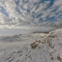 Скудный снег :: Владимир Самсонов
