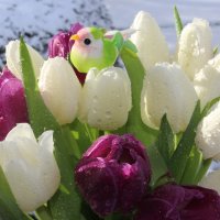 Тюльпаны :: Mariya laimite