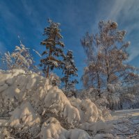 Солнечный день. Февраль. Сокольники. :: Василий Ярославцев