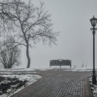 Туманное утро :: Виктор Позняков