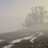 Мартовский туман :: Олег Сахнов