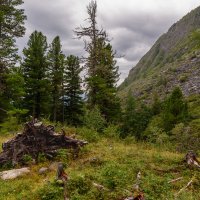 В сказке :: Александр Шацких