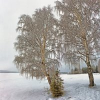 *** :: Анжела Пасечник