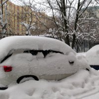Ах снег , снежок !!! :: Агриппина 