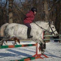 зимние забавы :: Елена Логачева