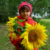 Девочка с подсолнухами :: Сергей Царёв