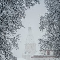 Москва. Коломенское. Февраль. Метель. :: Игорь Герман