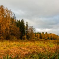 Осенний пейзаж. :: Владимир Лазарев