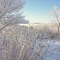 - :: Игорь Александрович Оренбург