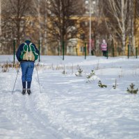 Одинокий лыжник :: Олег Каразанов