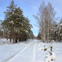 почти не езженой дорогой :: оксана 