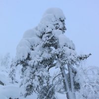 Снежный великан на снегокате :: Ольга 