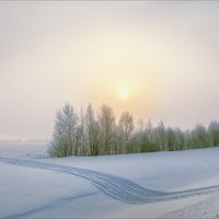 Утро морозное... :: Александр Никитинский