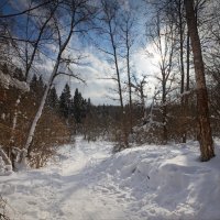Зима в лесу :: Юрий Кольцов